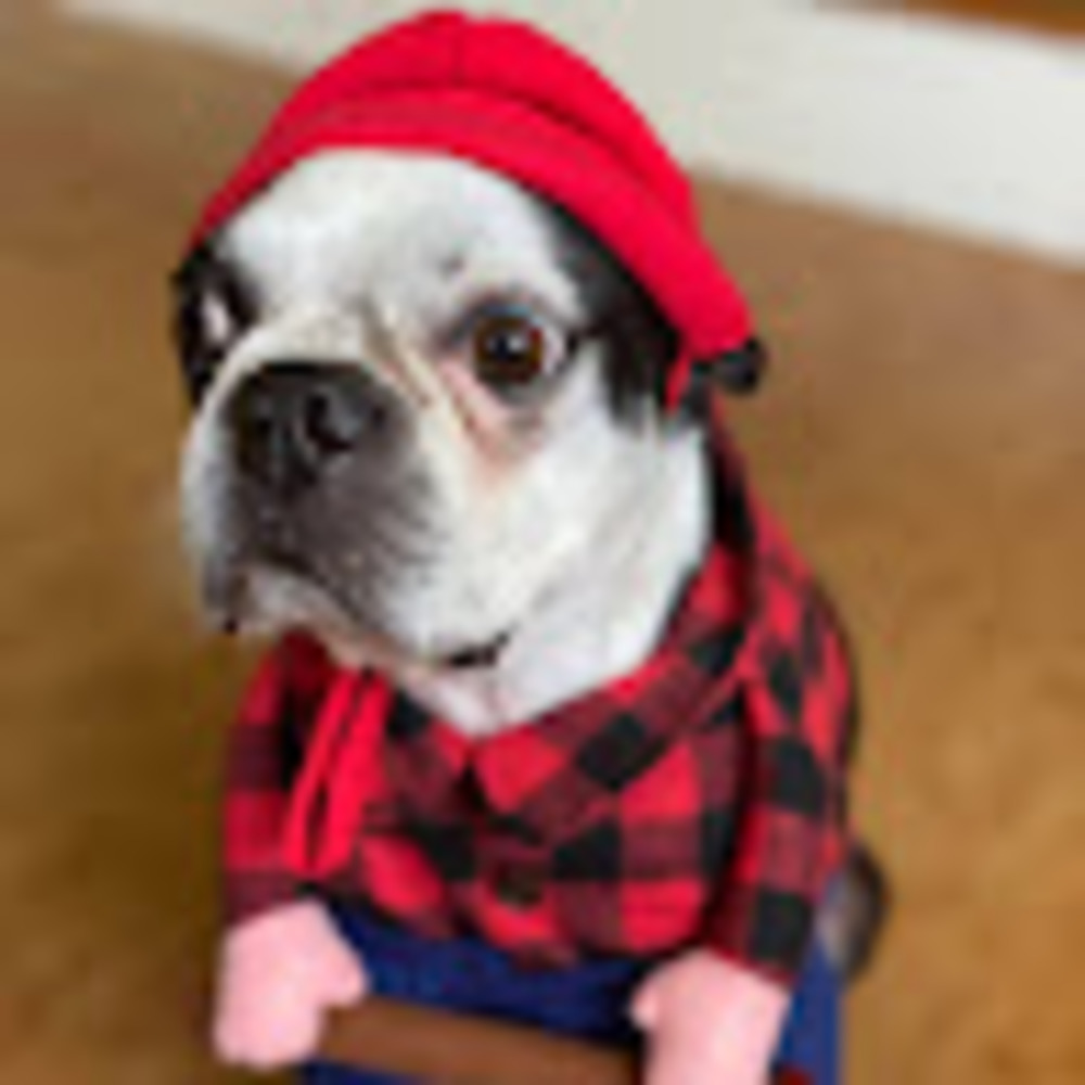 Meet your Posher, Cindy